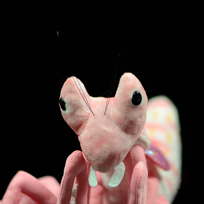 Lifelike Mantis Plush Toys Stuffed Animals Toy For Kids