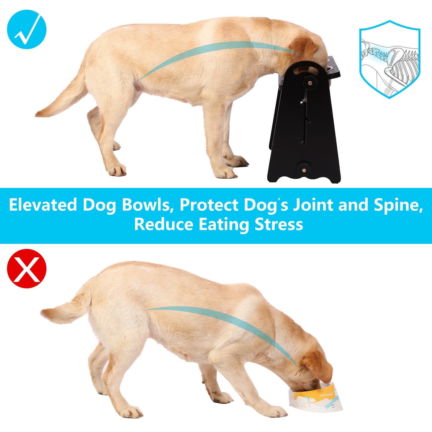 Elevated Dog Bowls for Medium Large Sized Dogs, Adjustable Heights