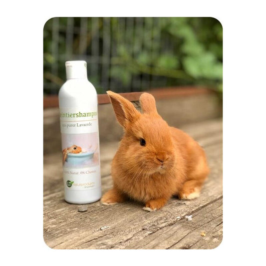 Medicated Rabbit Shampoo | Organic | gentle coat care without